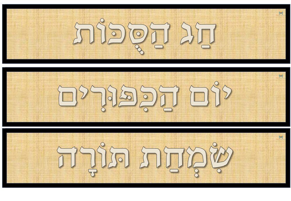 קיר תוכן סוכות